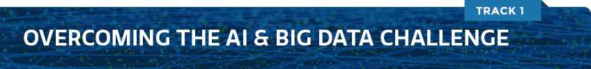 OVERCOMING THE AI & BIG DATA CHALLENGE