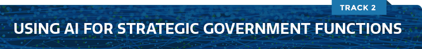 USING AI FOR STRATEGIC GOVERNMENT FUNCTIONS